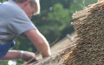 professional Clapton Park thatchers