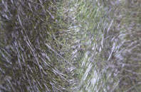 Clapton Park fibreglass roof work